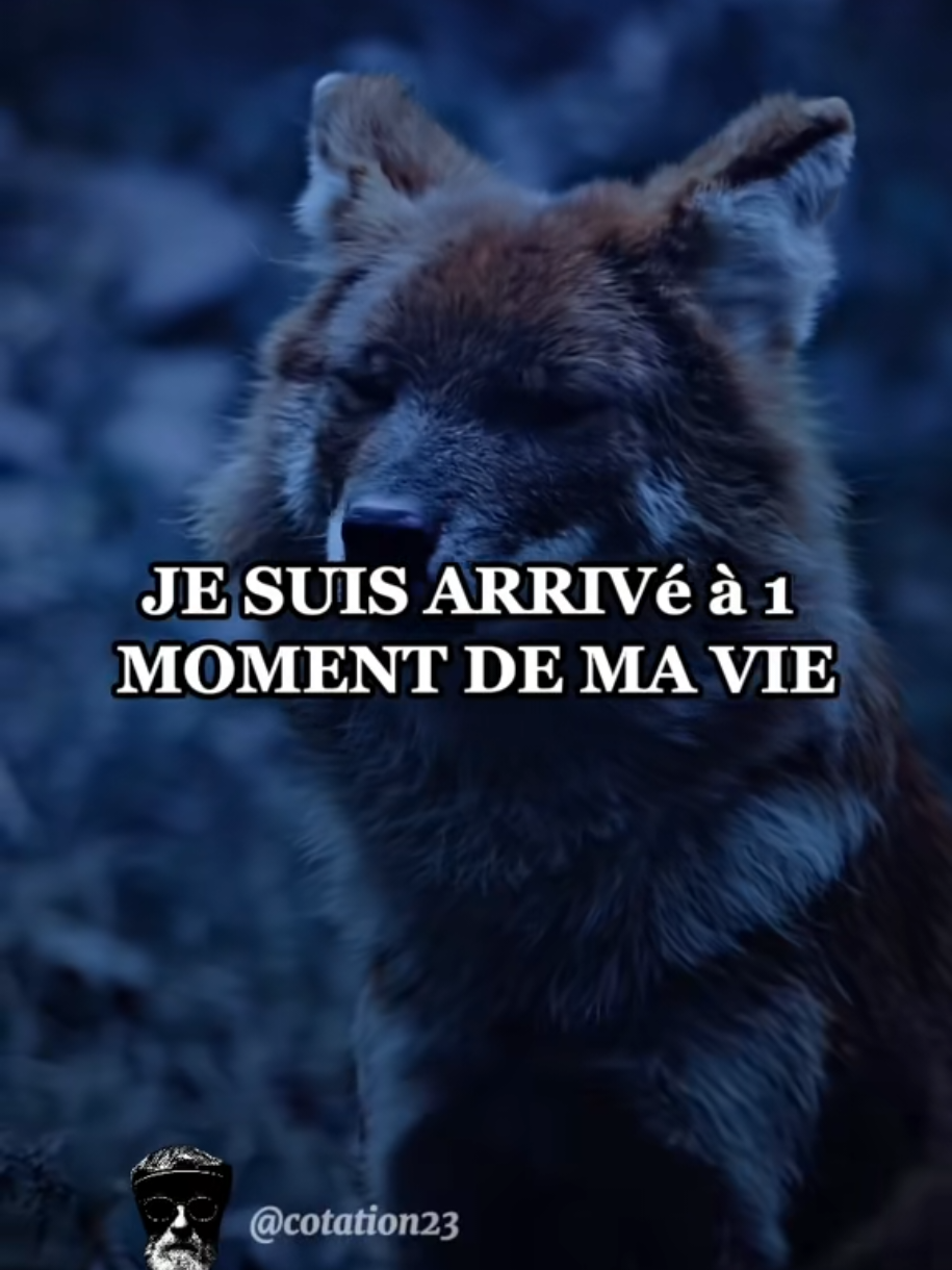 @Pour Toi