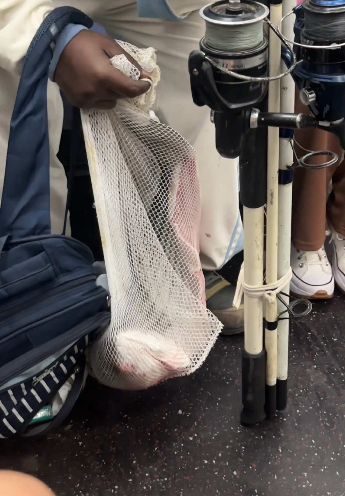 @SubwayCreatures