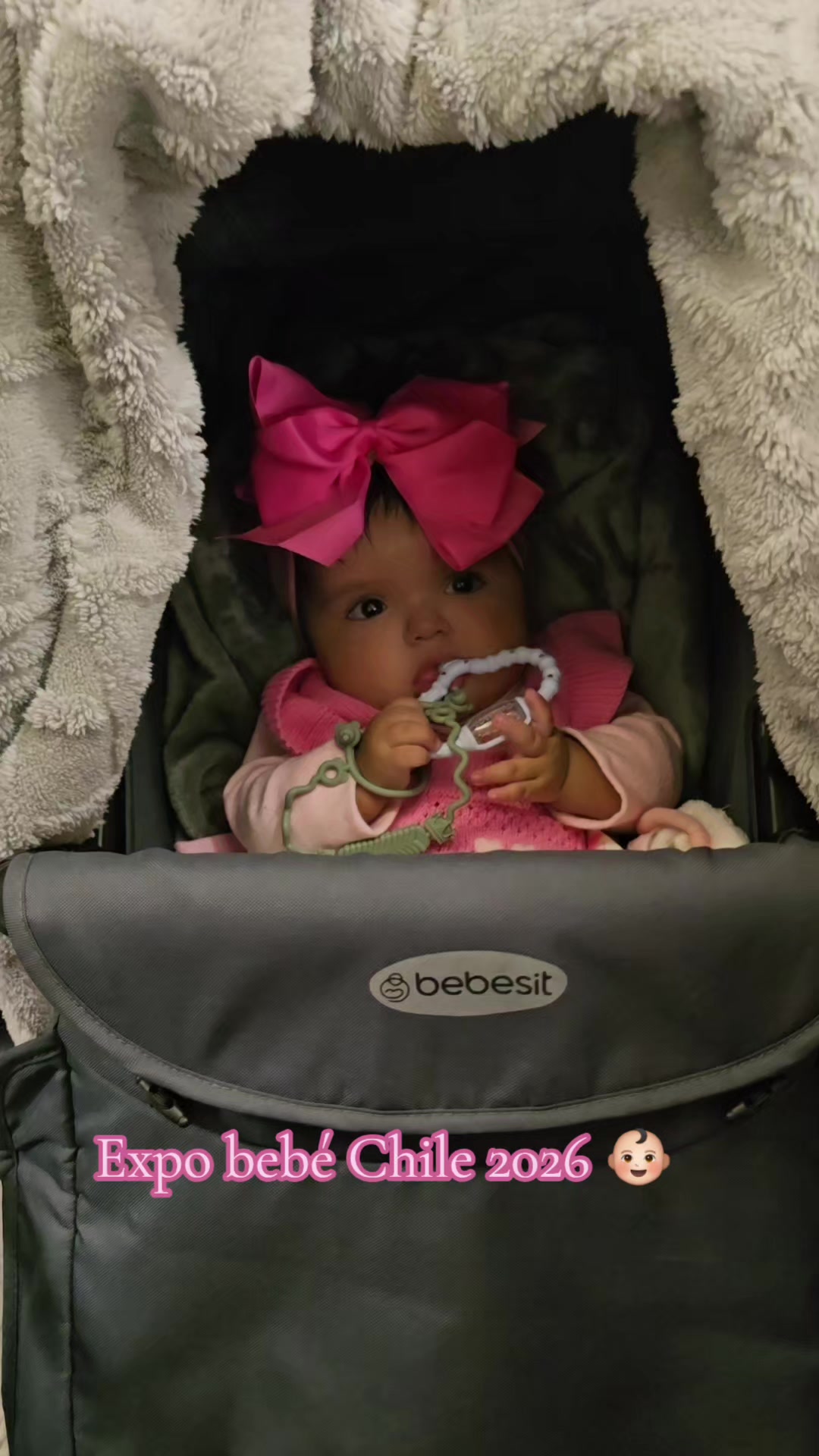 @La vida de baby Luna