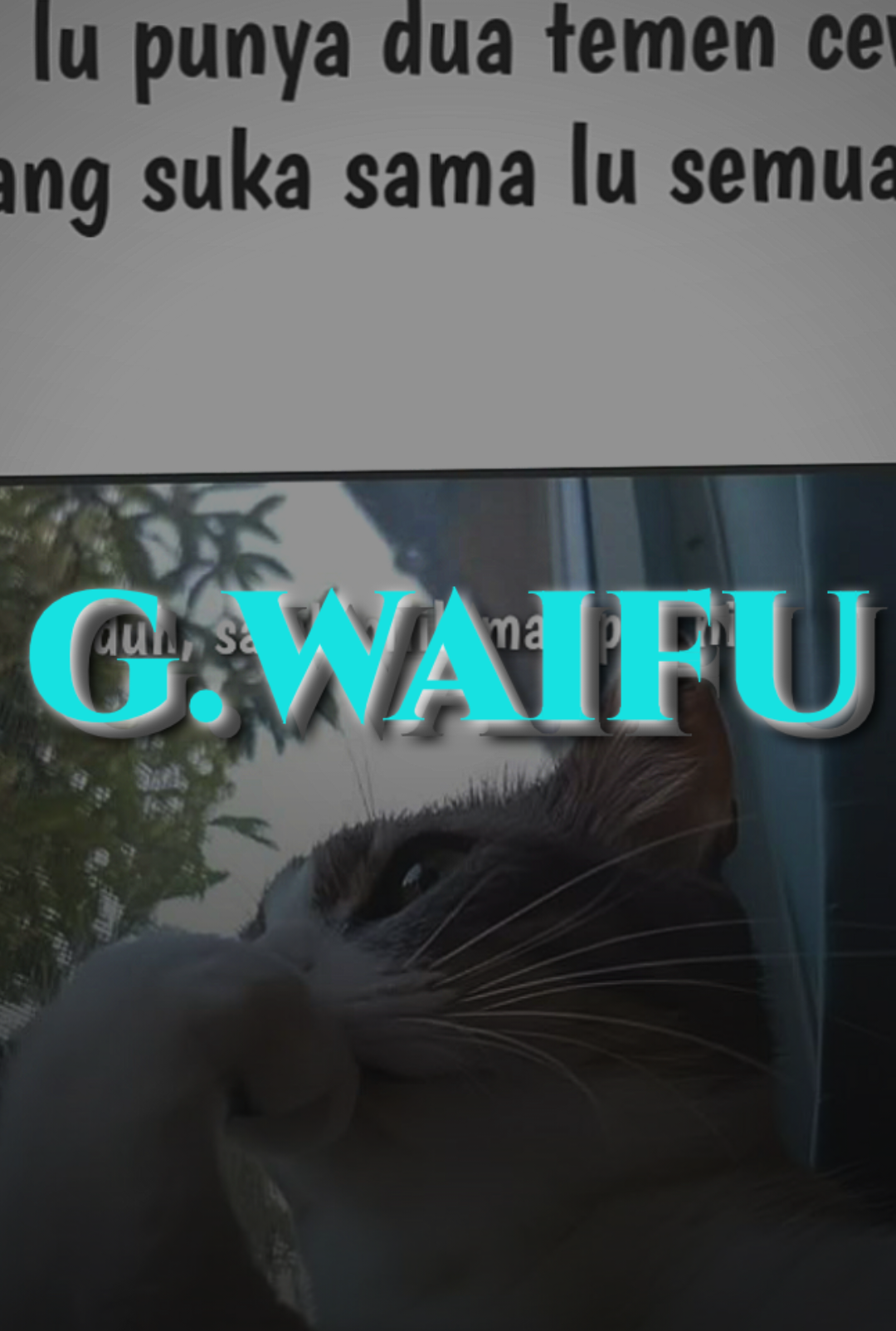 @gudangwaifu