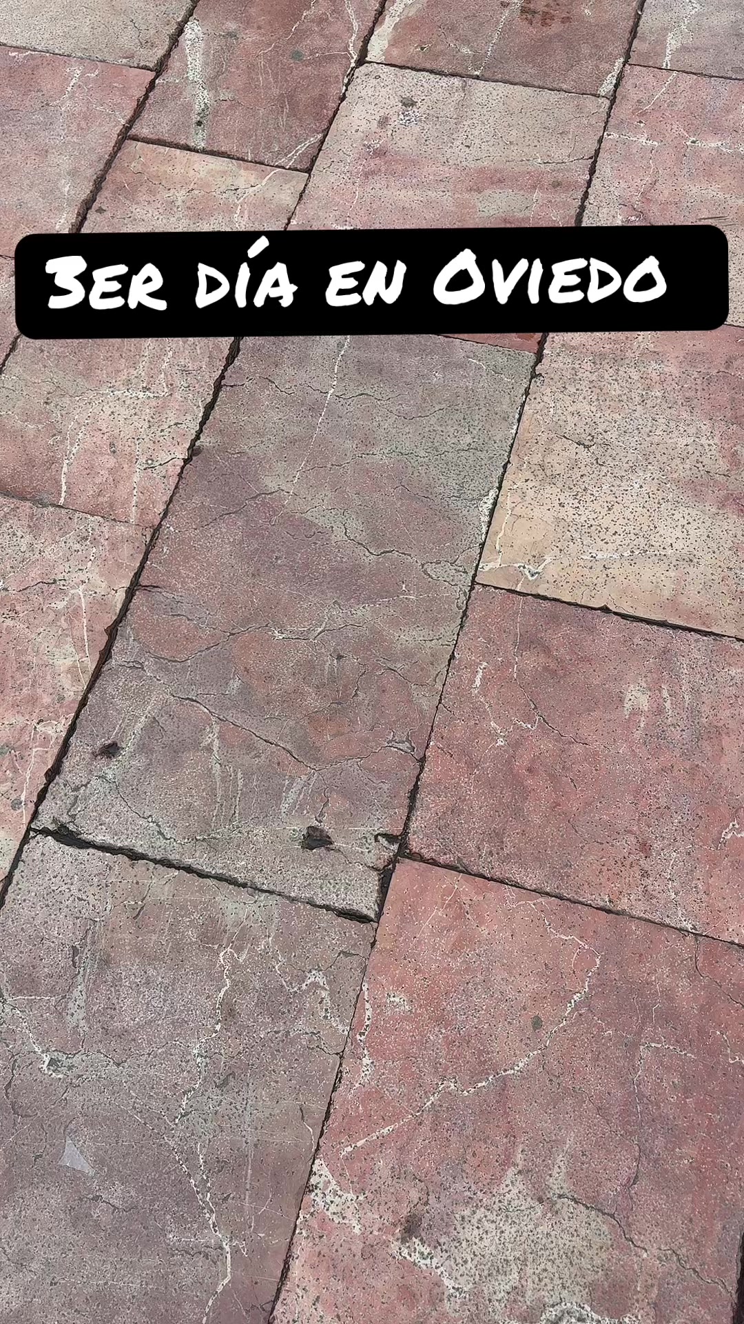 @Yeli Vera Oficial 🏳️&zwj;⚧️