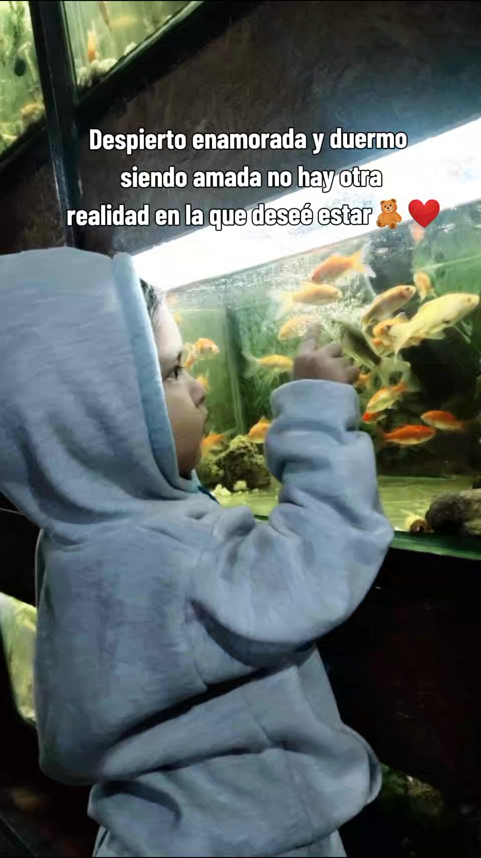@NICO26♡