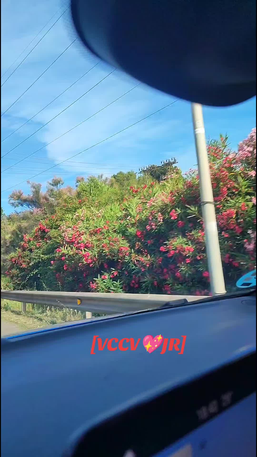 @vicenç Jr