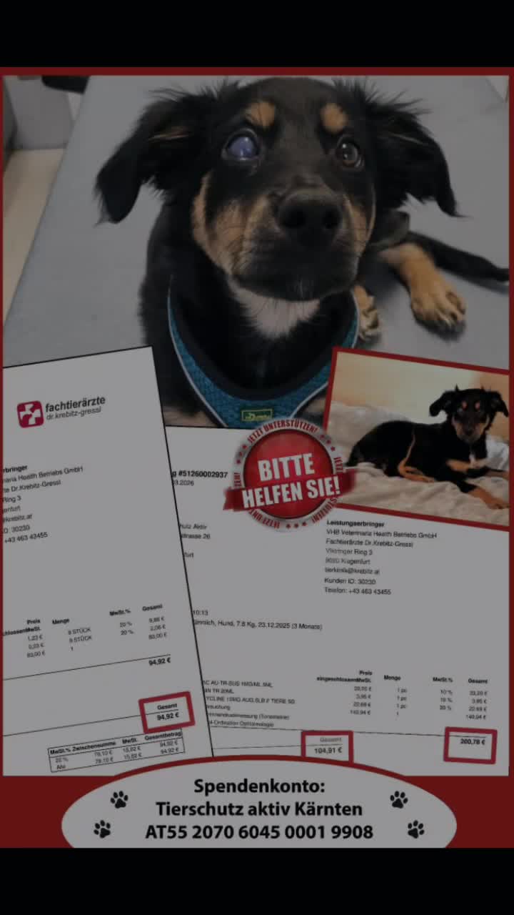 @tierschutz_aktivkaernten