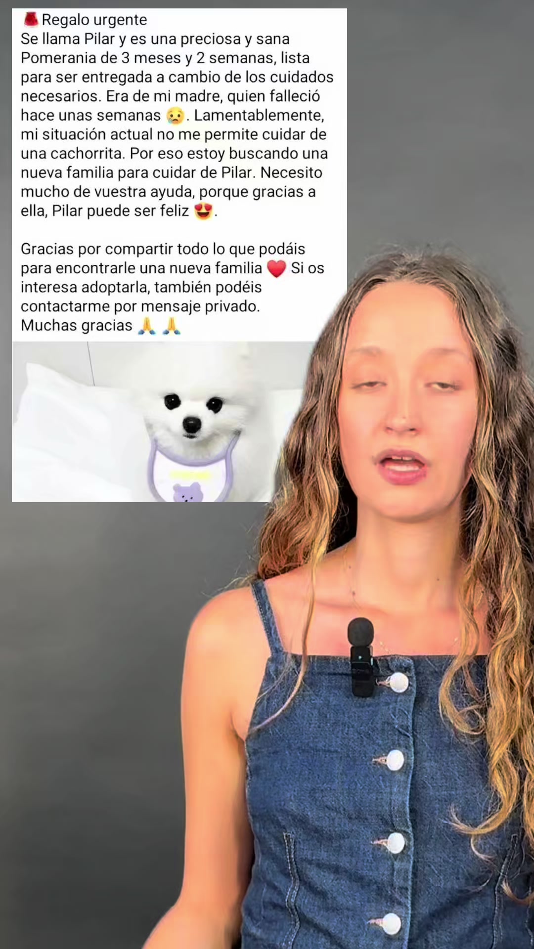 @Maldito Bulo