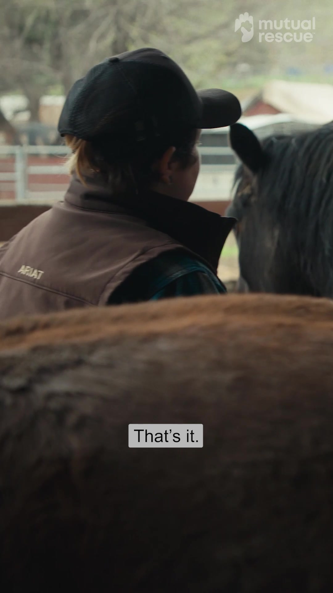 @Mutual Rescue