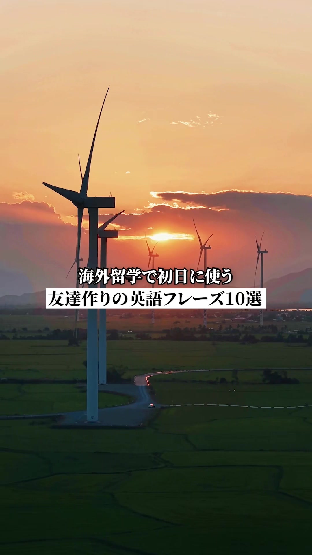 @留学のトビラ|スクールウィズ
