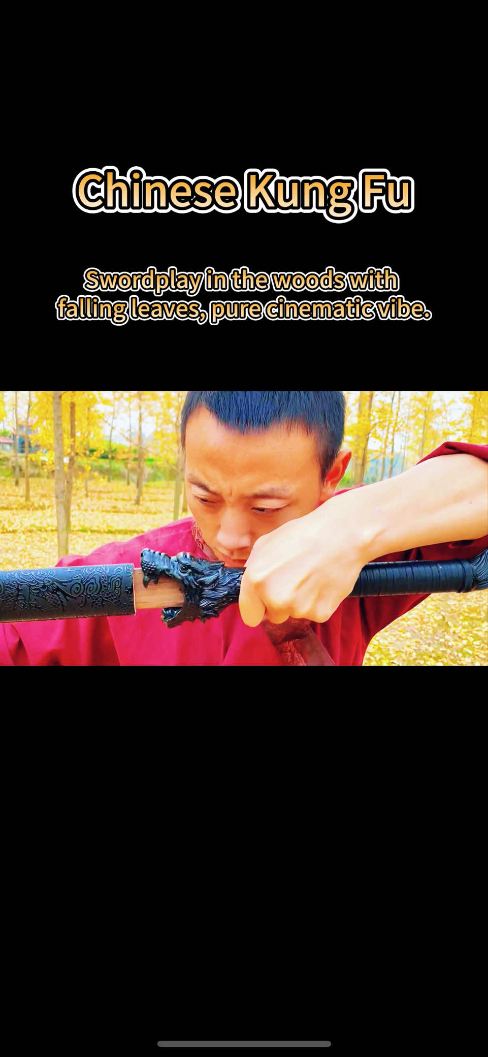 @Kung Fu Dream: Wang Xiaohu