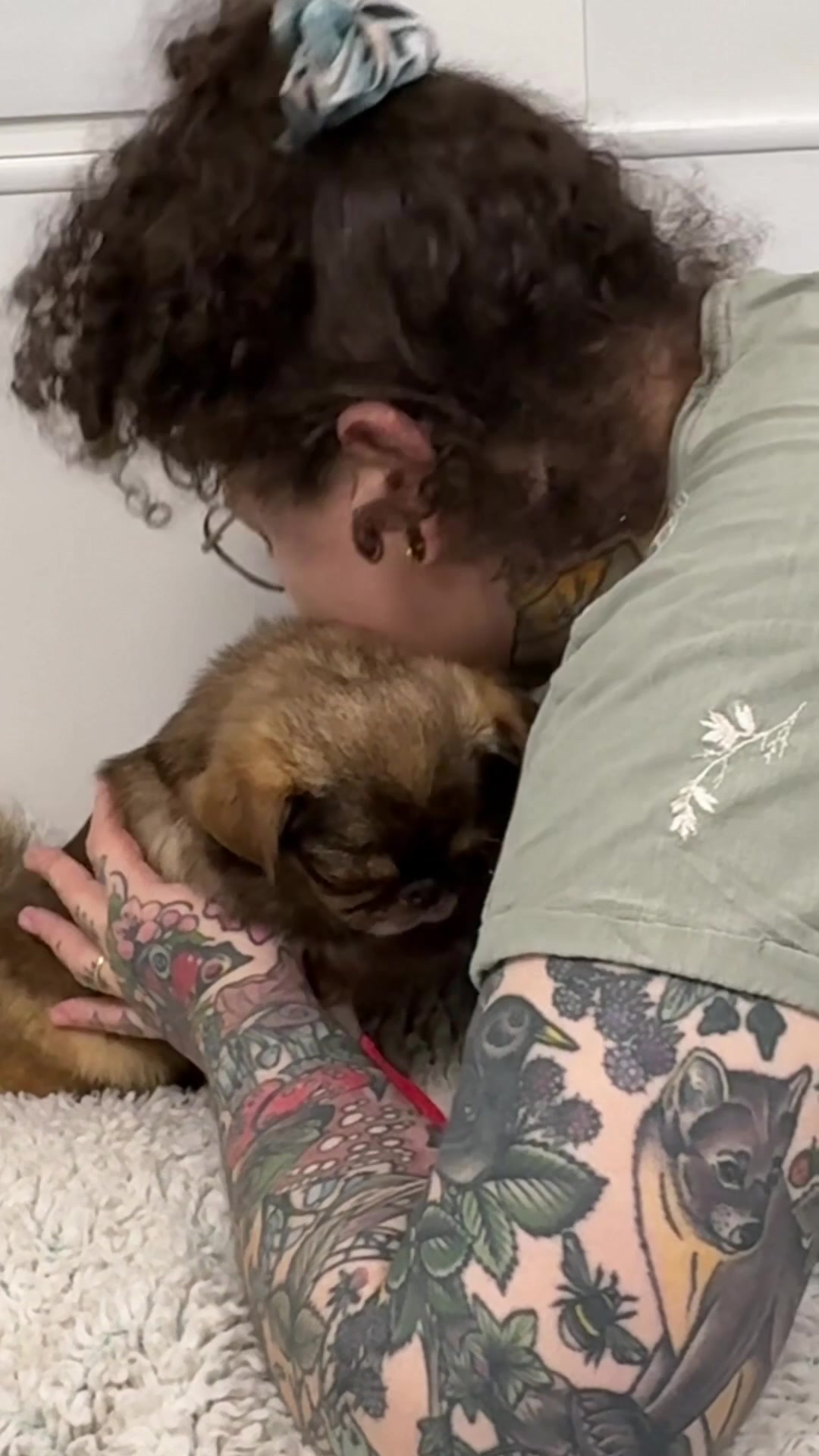 @ChilliThePug