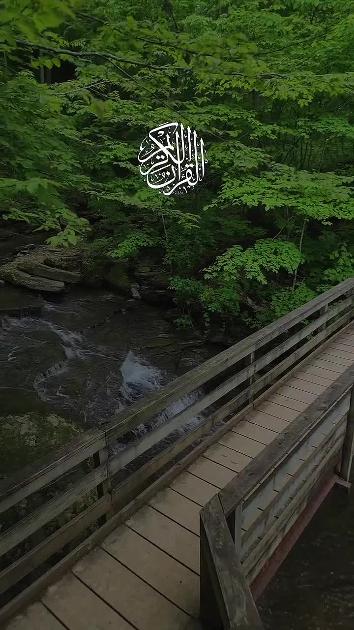 @🦋𝓝ᴏᴏʀᴜʟᴀɪɴ🕊