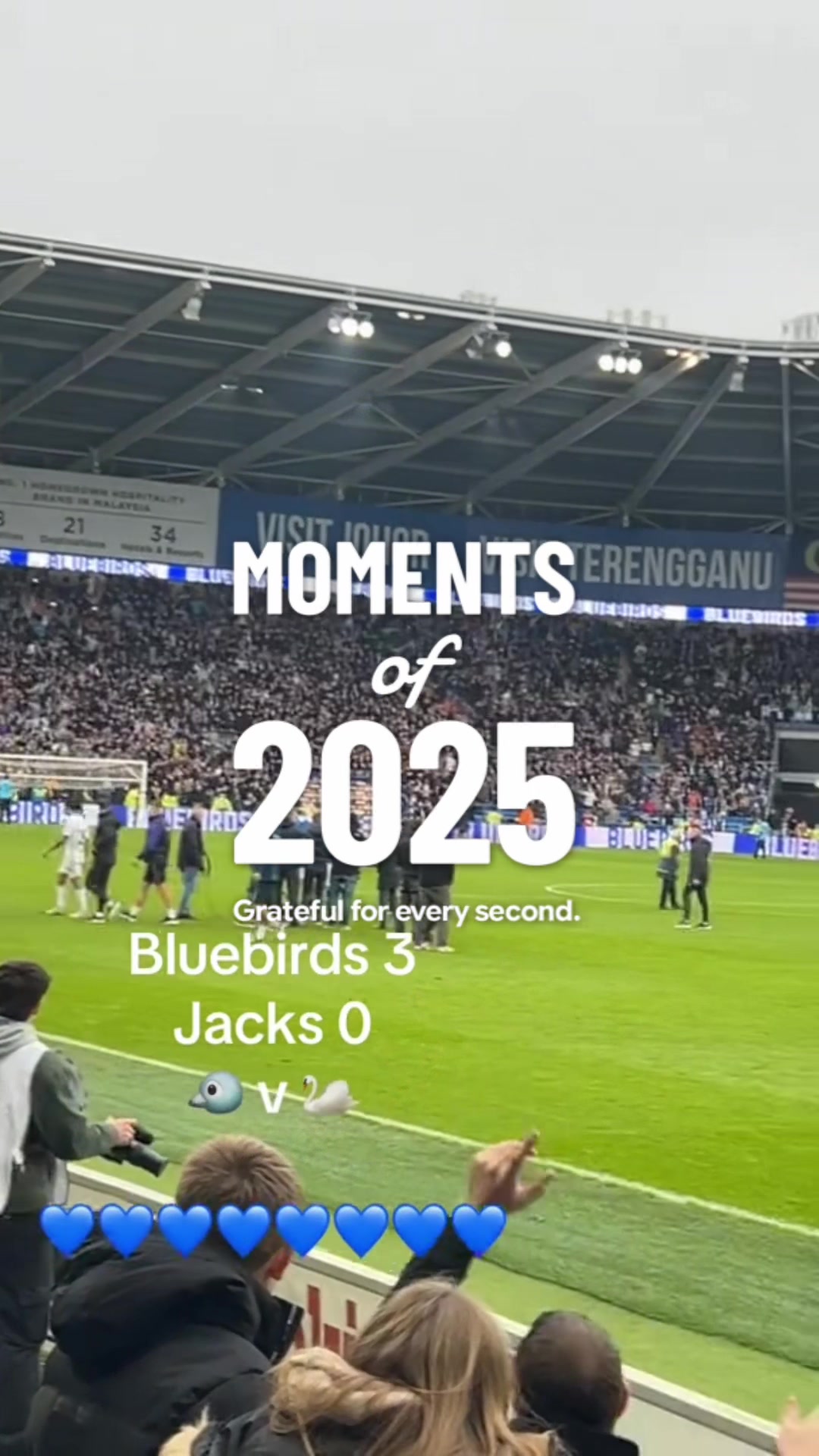 @furbz_bluebirds8610