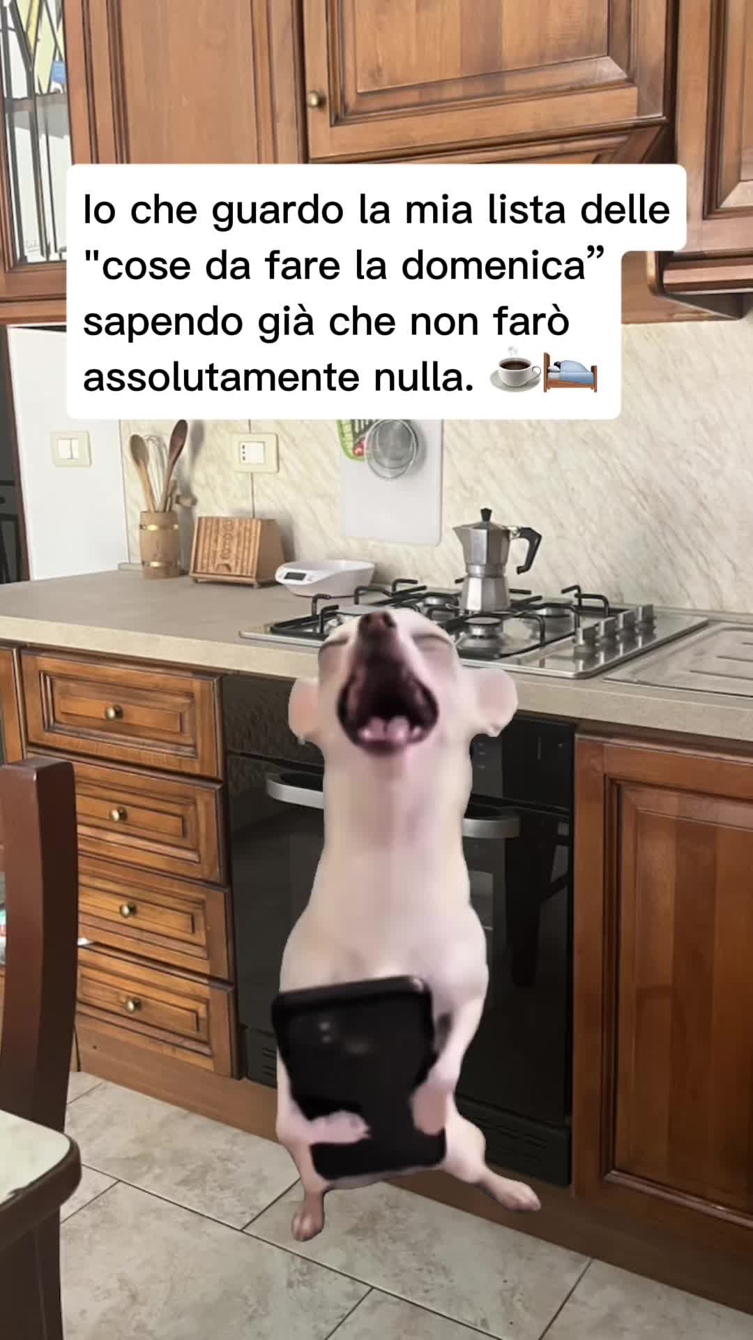 @antonellarizzo962