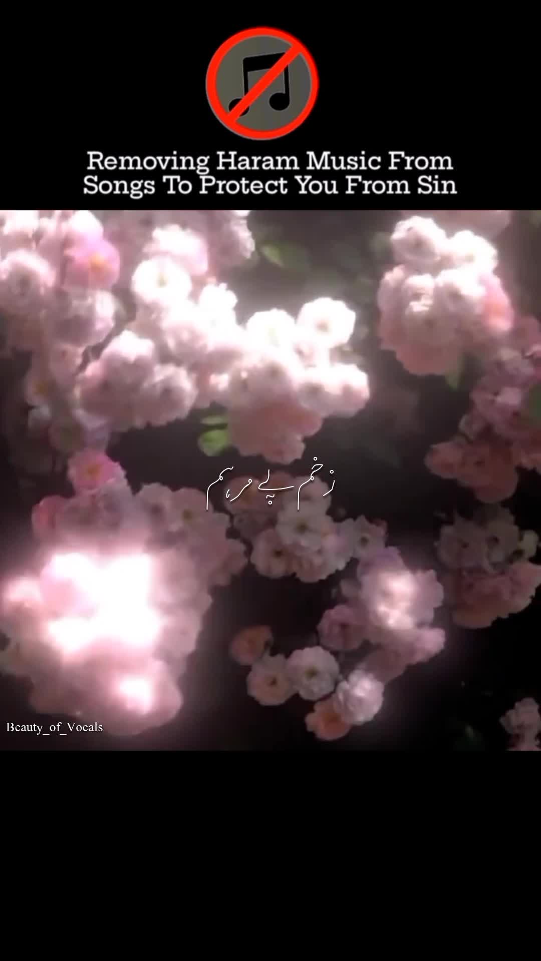 @𝐁𝐞𝐚𝐮𝐭𝐲_𝐨𝐟_𝐕𝐨𝐜𝐚𝐥𝐬