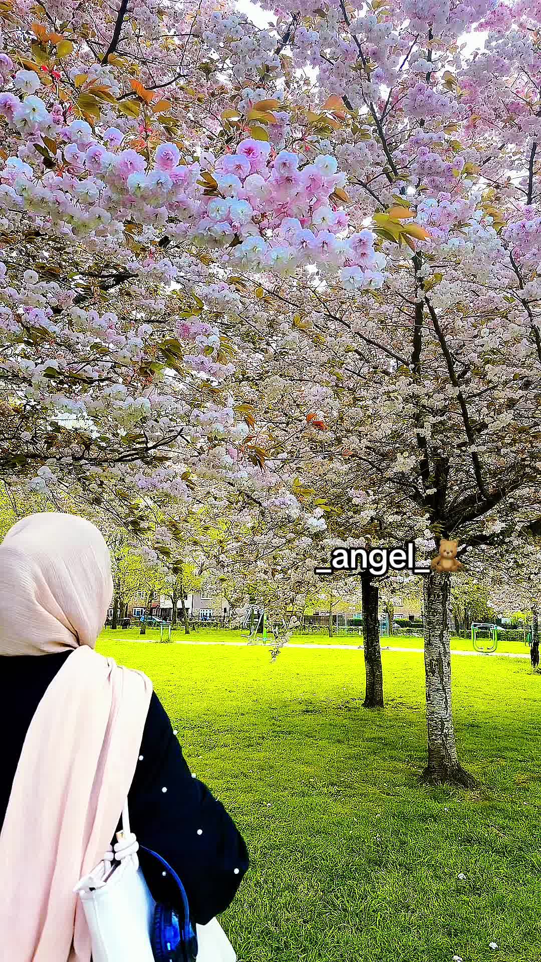 @_Angel_🧸