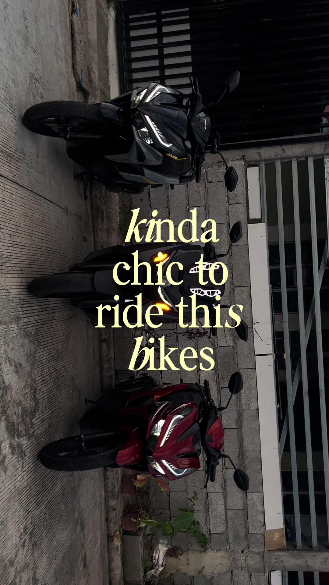 @ijmotorrental
