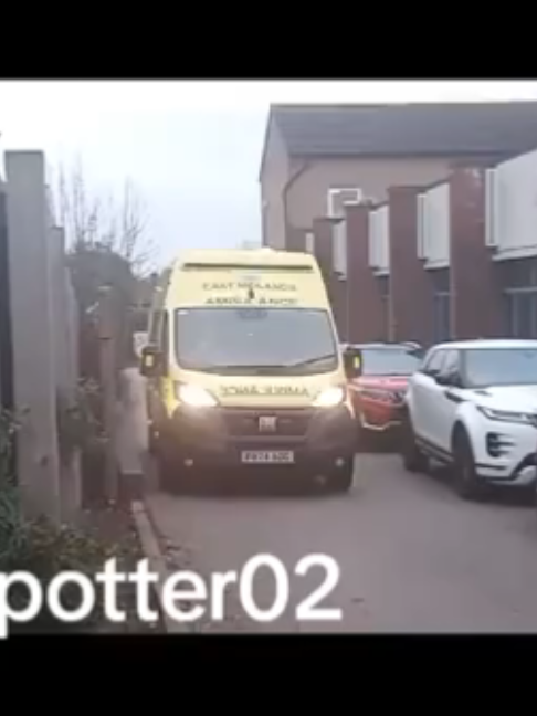 @blue light spotter02