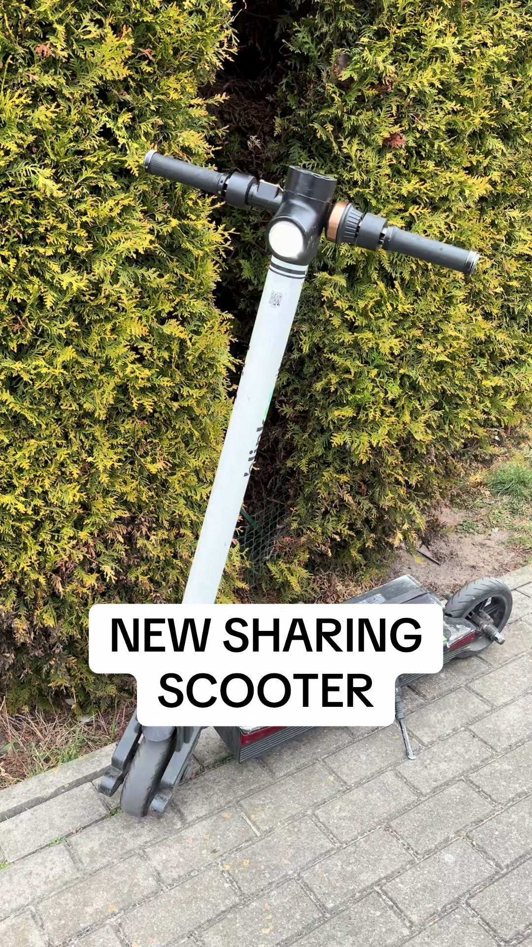 @scoottoker