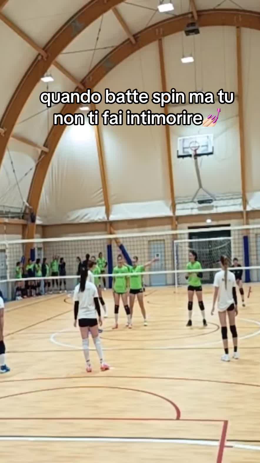 @Majestic Volley