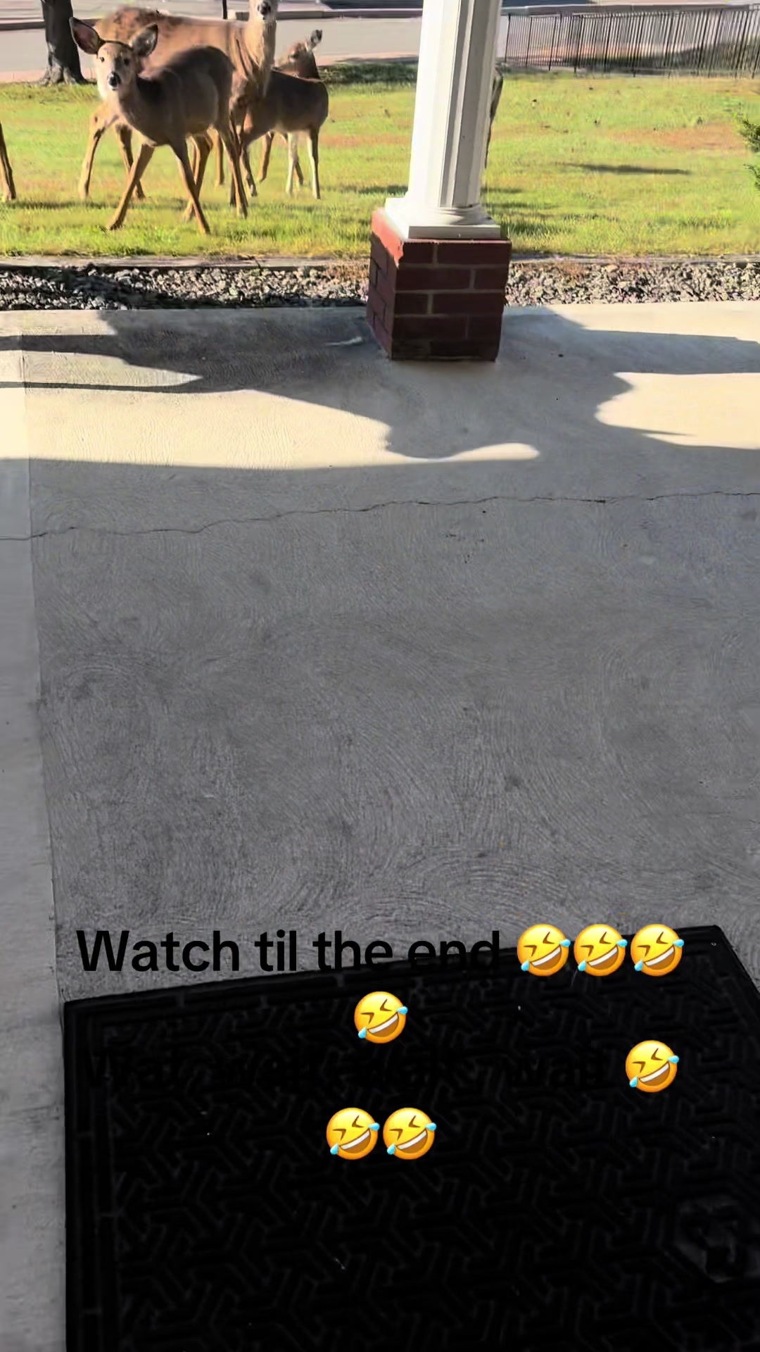 @therealmikeboogie