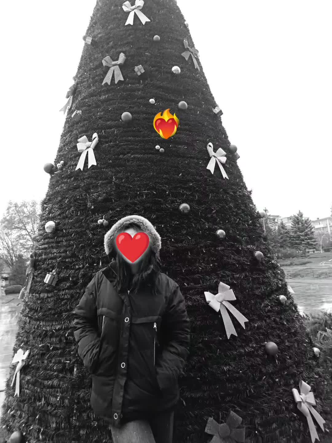 @petq0917