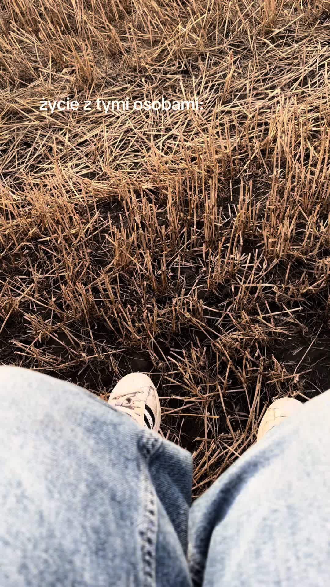 @ig:patinixr