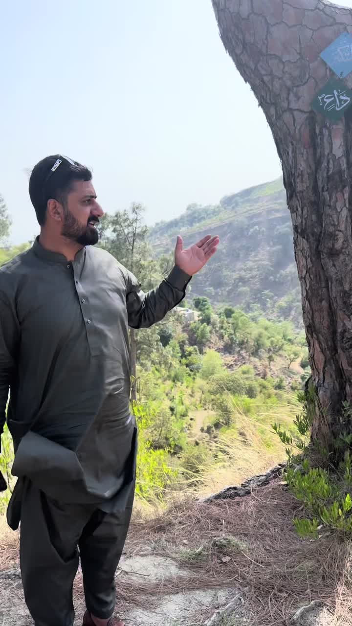 @Raja Ali