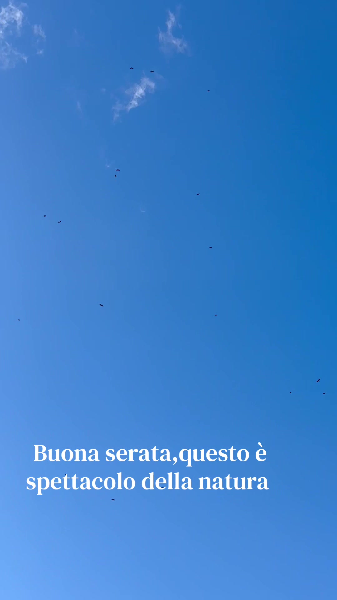 @Paolo Cambareri 275