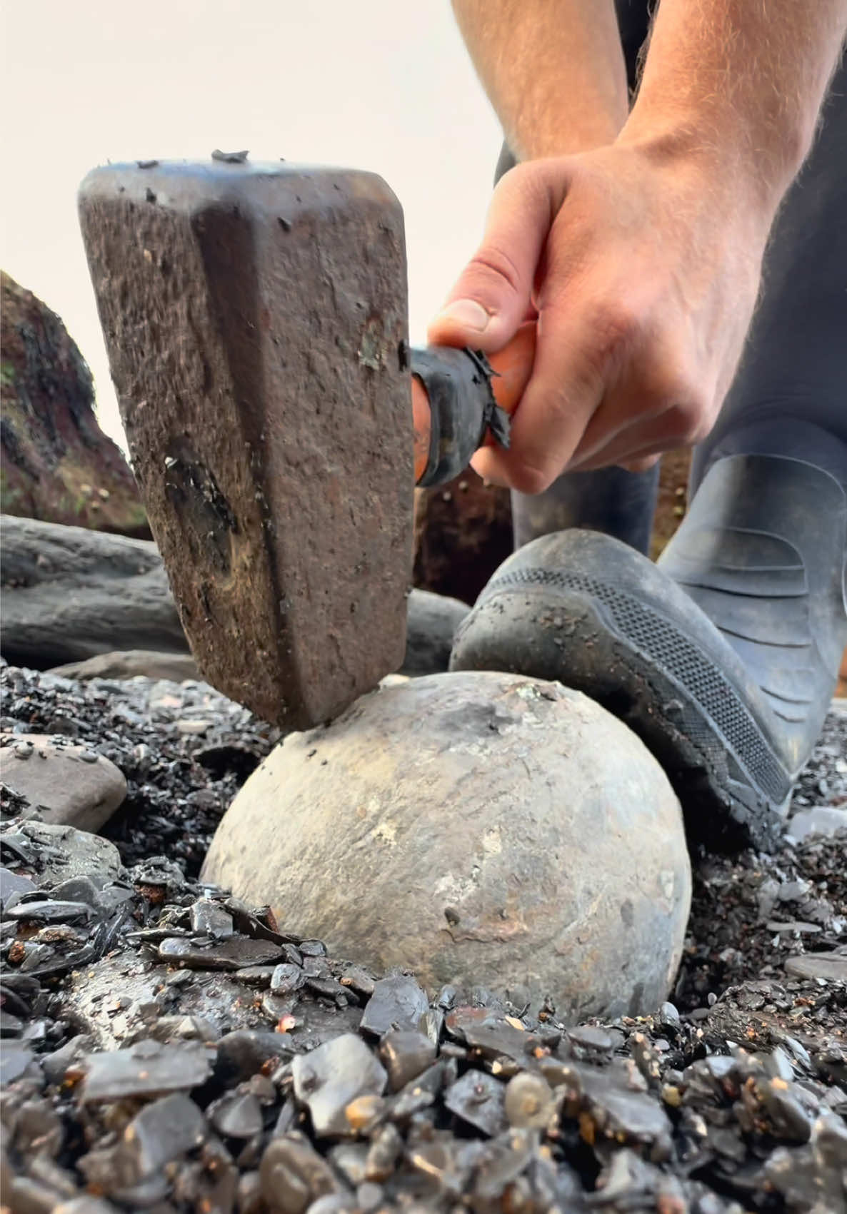 @yorkshire.fossils