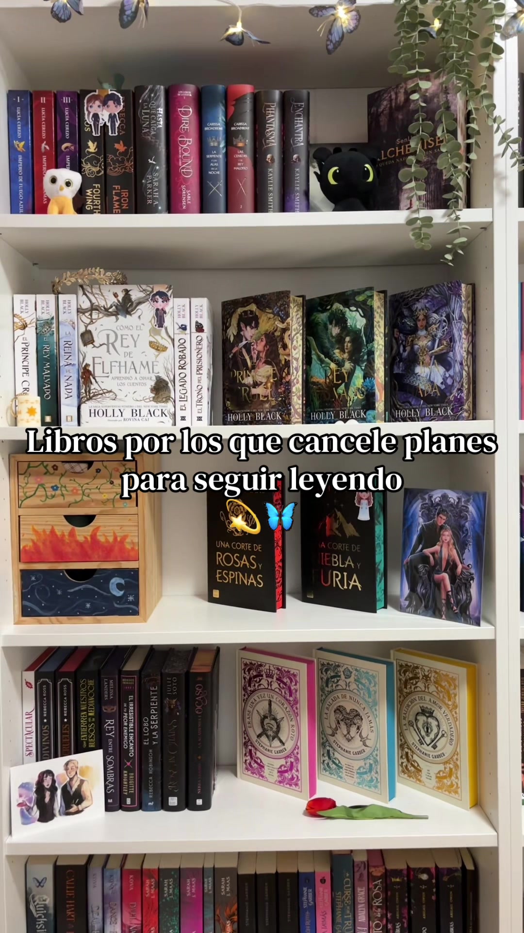 @Thedarkmoonbooks🌙✨