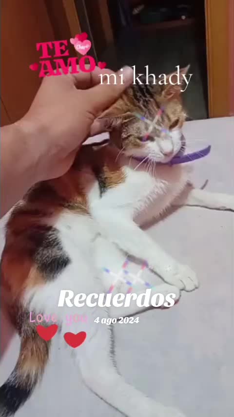 @rubioveronica_11