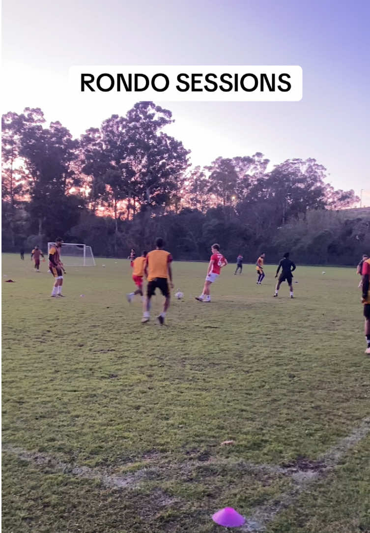 @Maties football