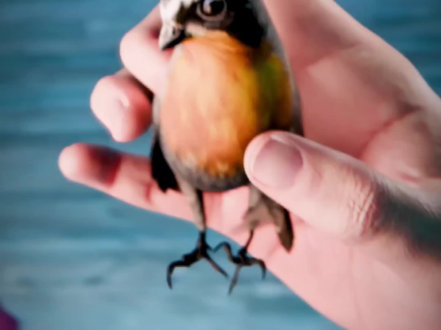 @Zack 3D