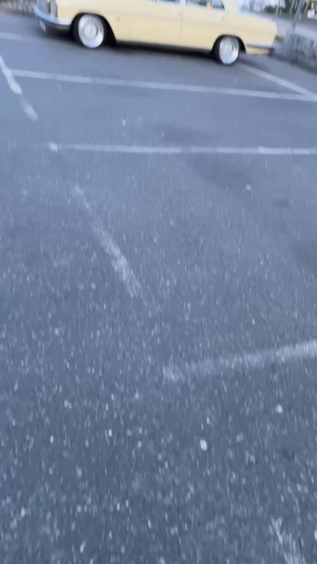 @Wolf