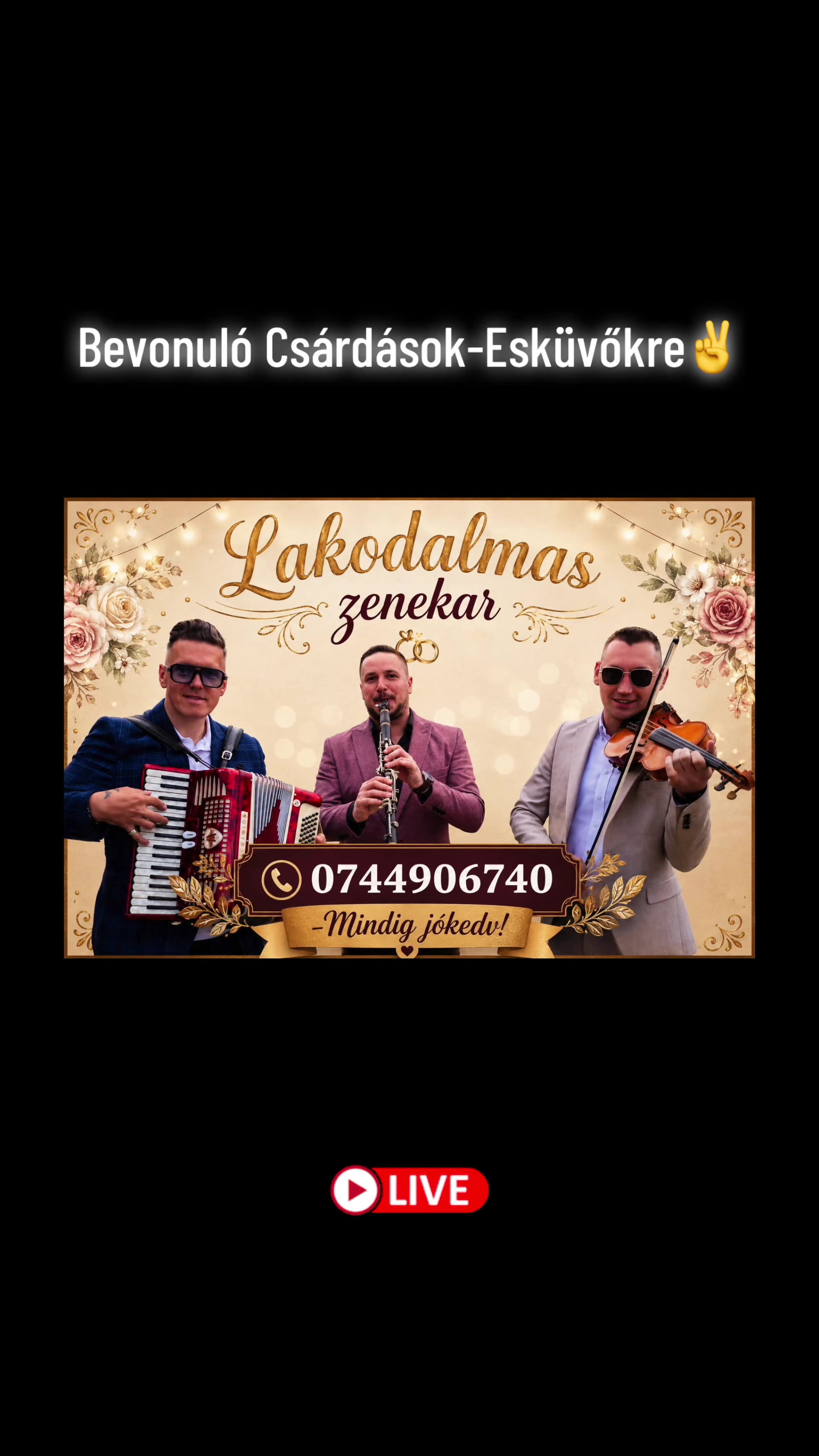 @Sándor Tibor - Zenész