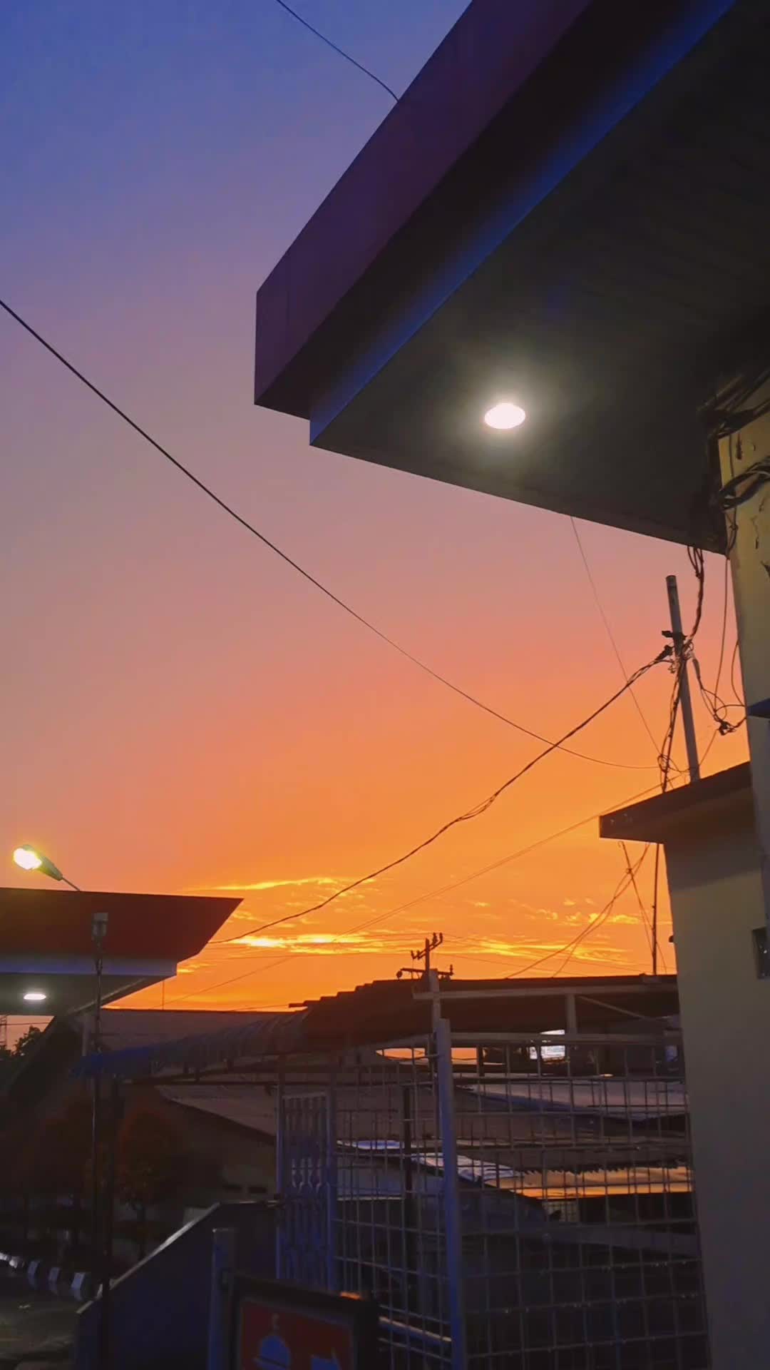 @Amoxcilin💊