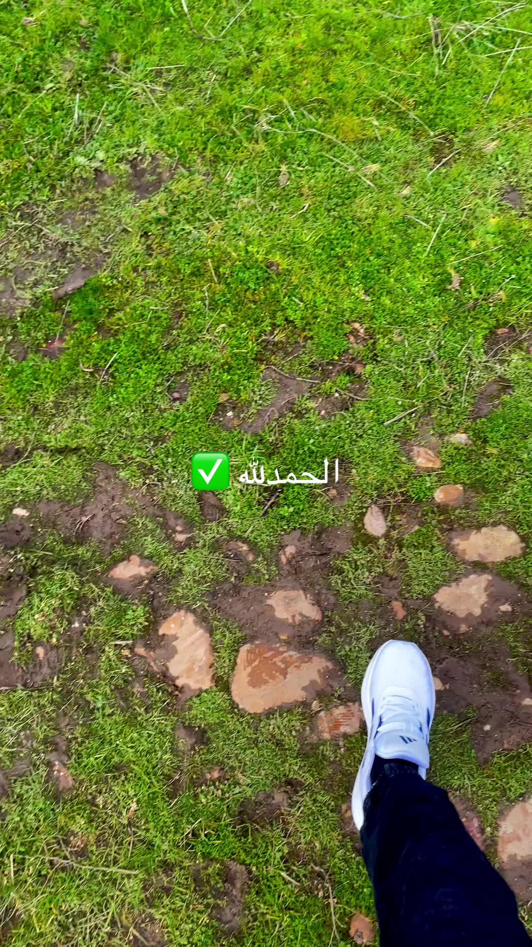 @مسليم