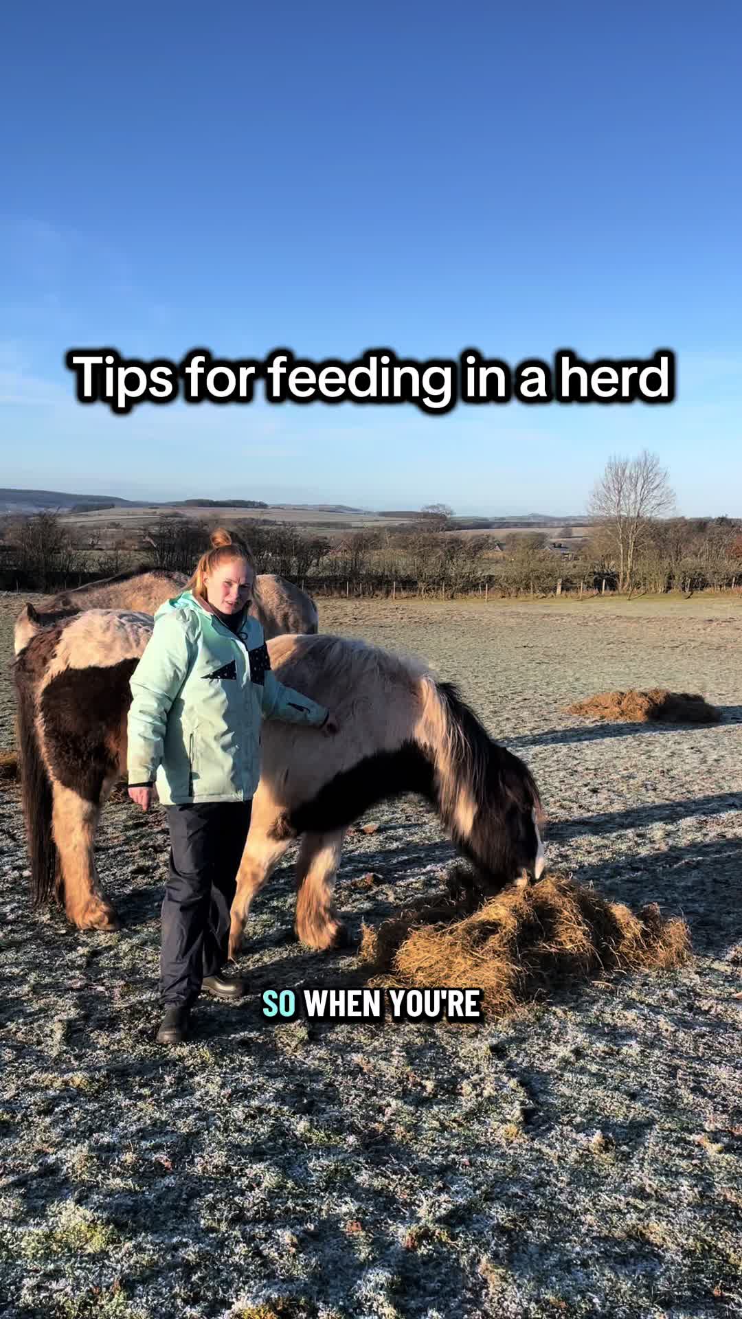 @Equine Nutrition With April