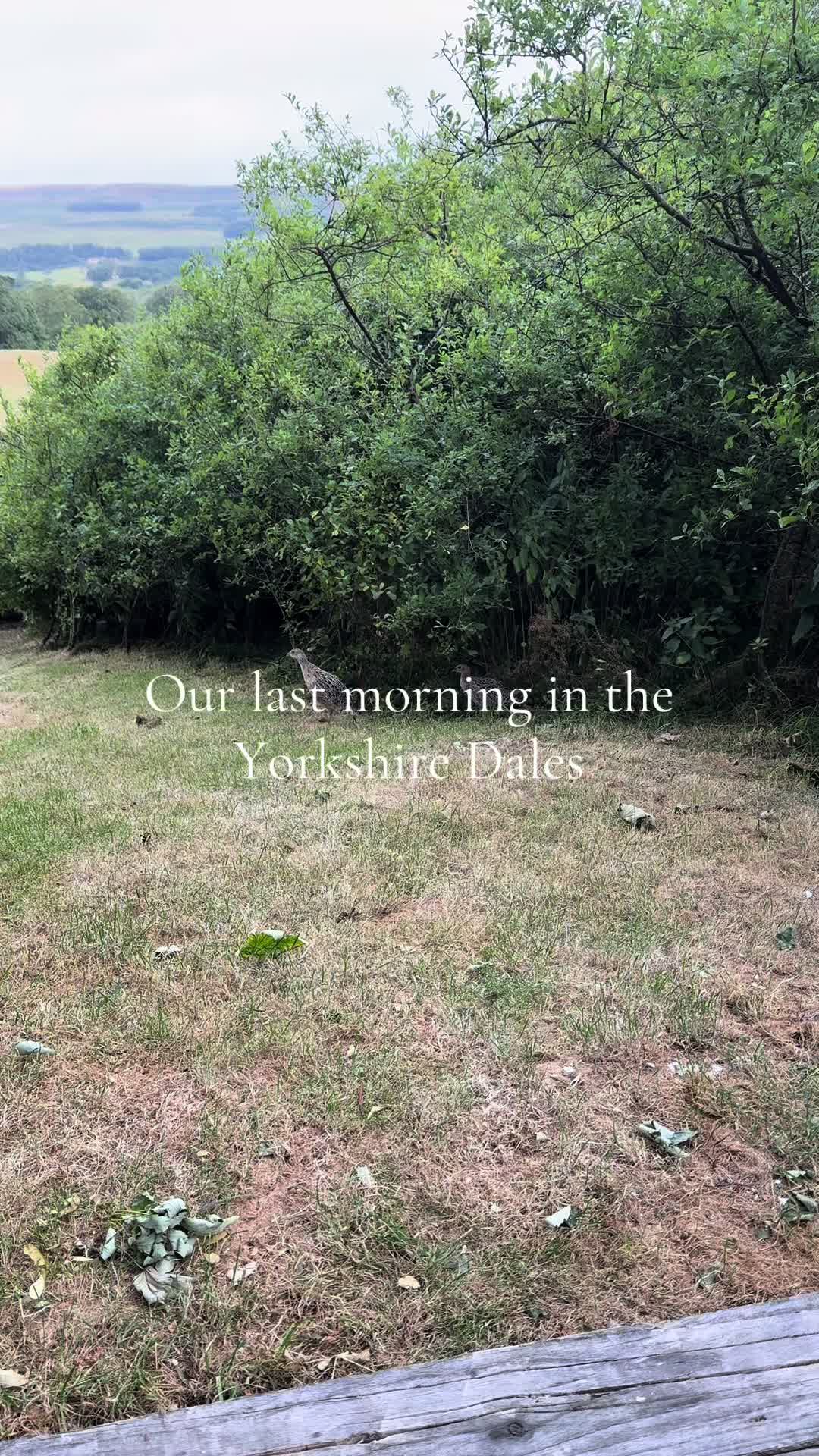 @shakeydoeslotsofstuff