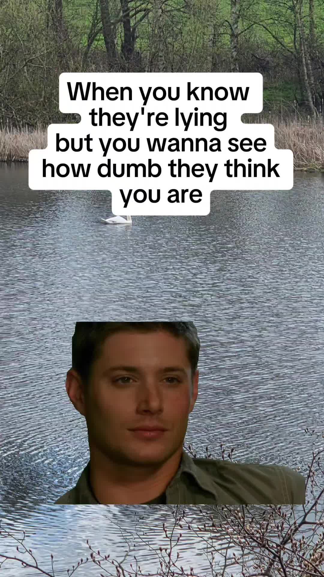 @Lisa 🤎🤎🤎