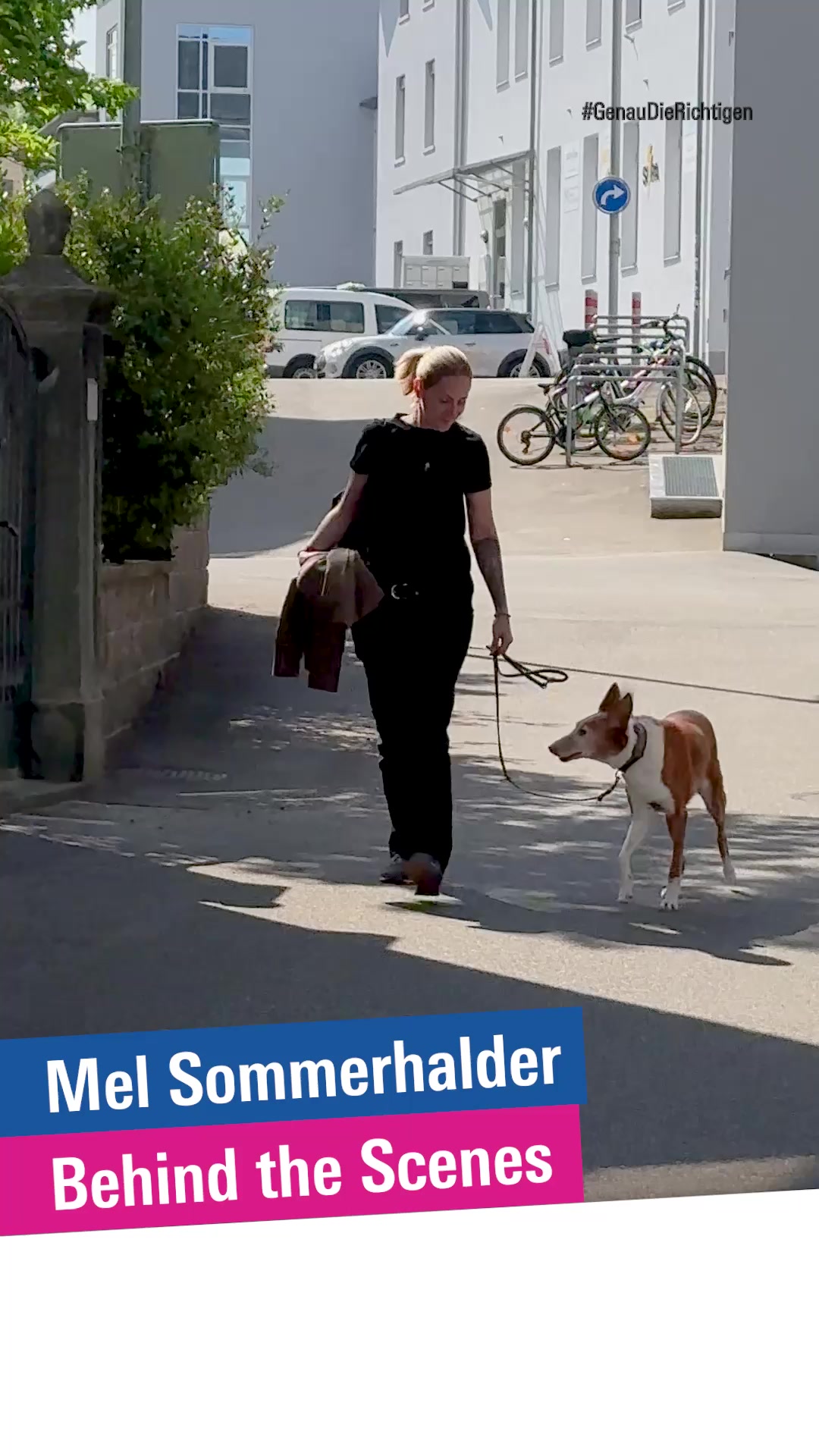 @FDP.Die Liberalen Cham - klar