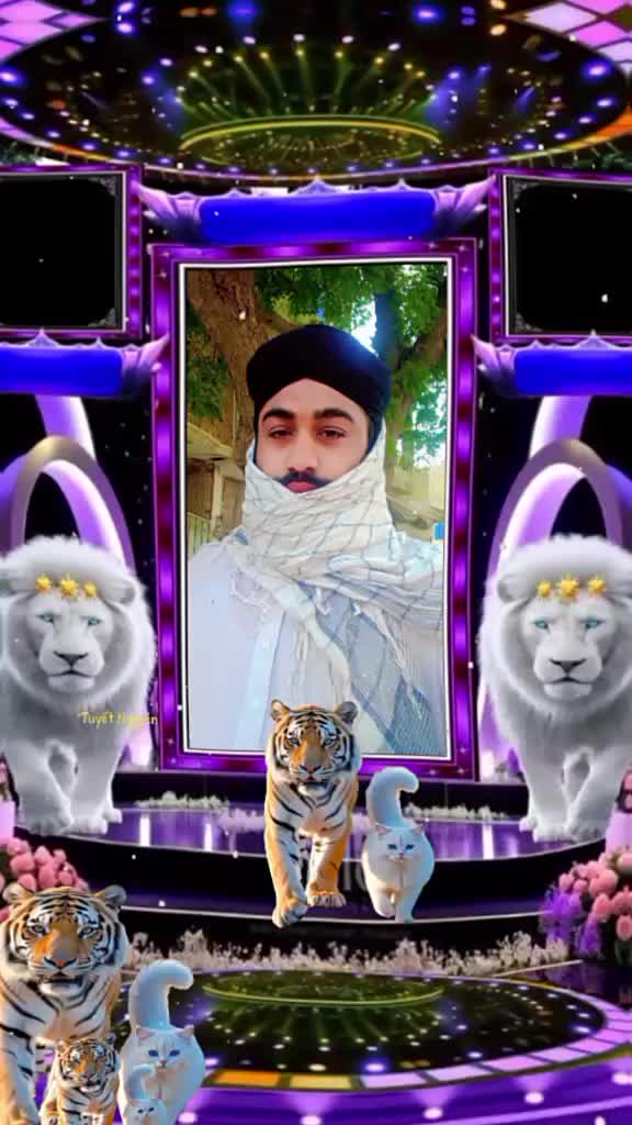 @Al shazli