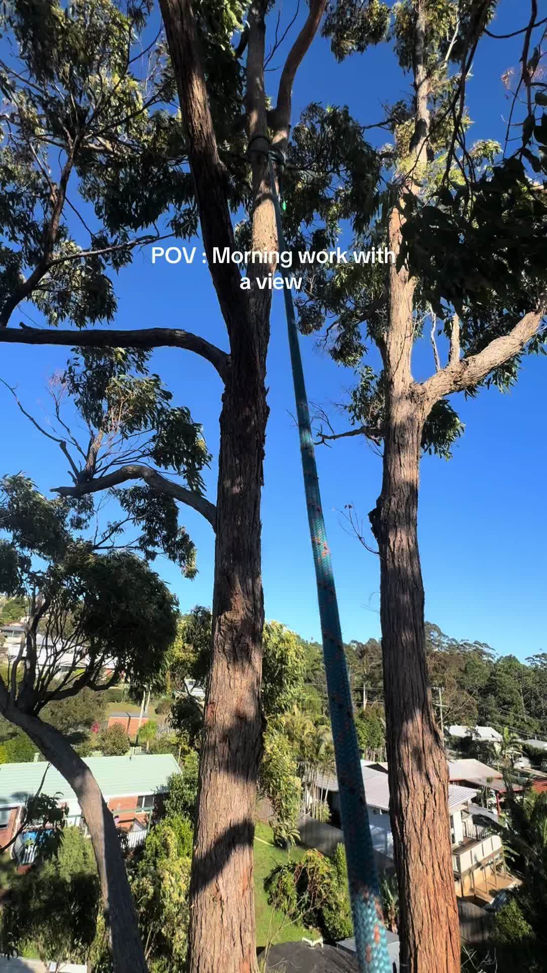 @LumberJackTravels