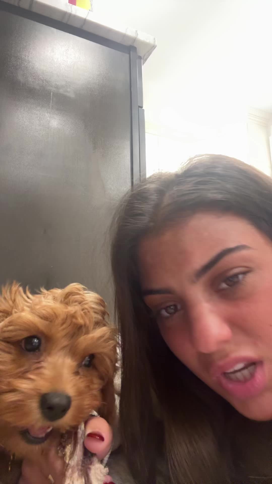 @danielledonononoohno