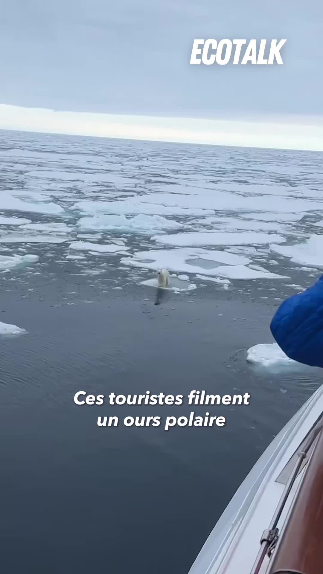 @Ecotalk