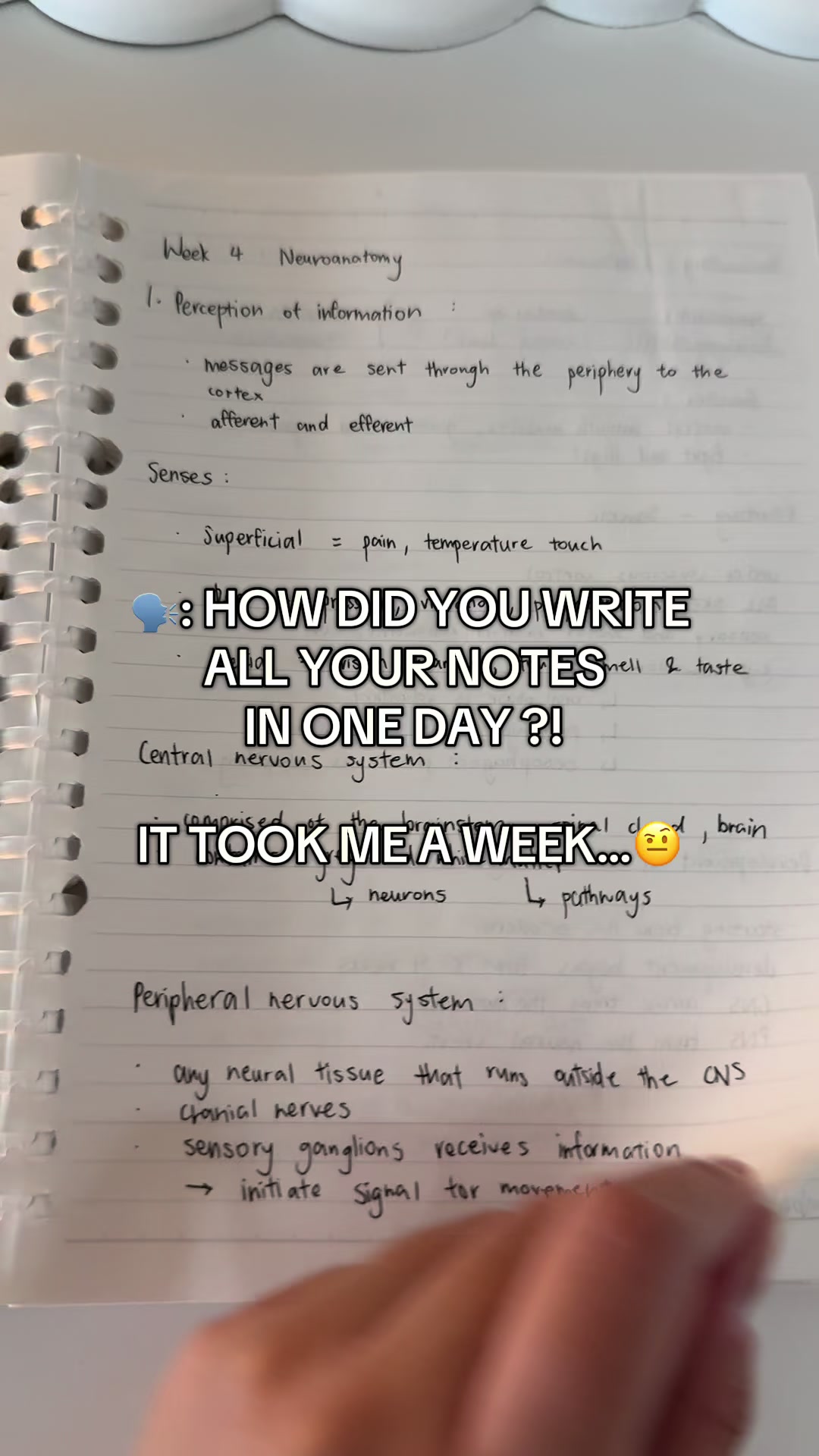 @T 🖇️✩˚🎧⊹♡