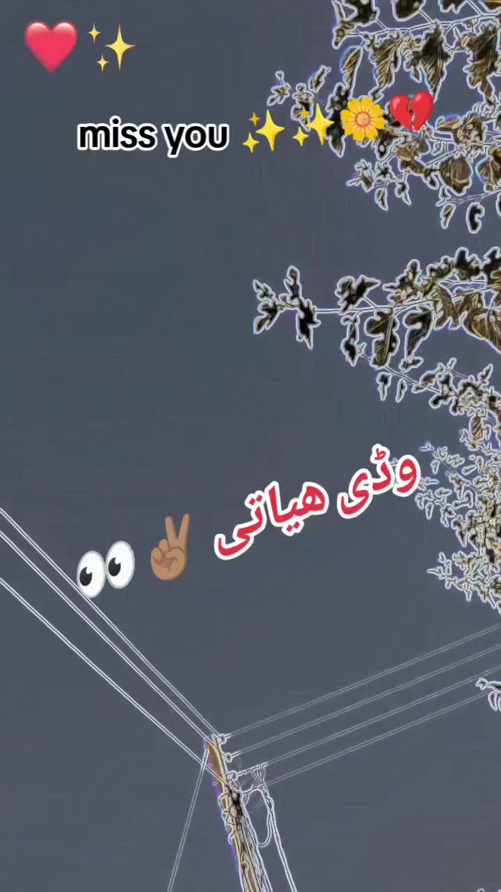 @Gujjar Saehen 🦅🦅🦅🦅🥷🥷
