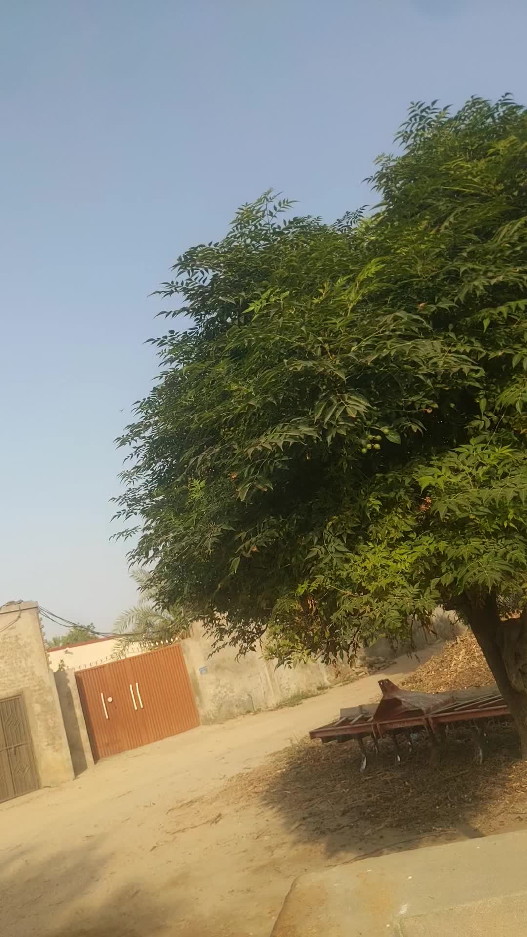 @Malik Ali Abbas Saggu🔥