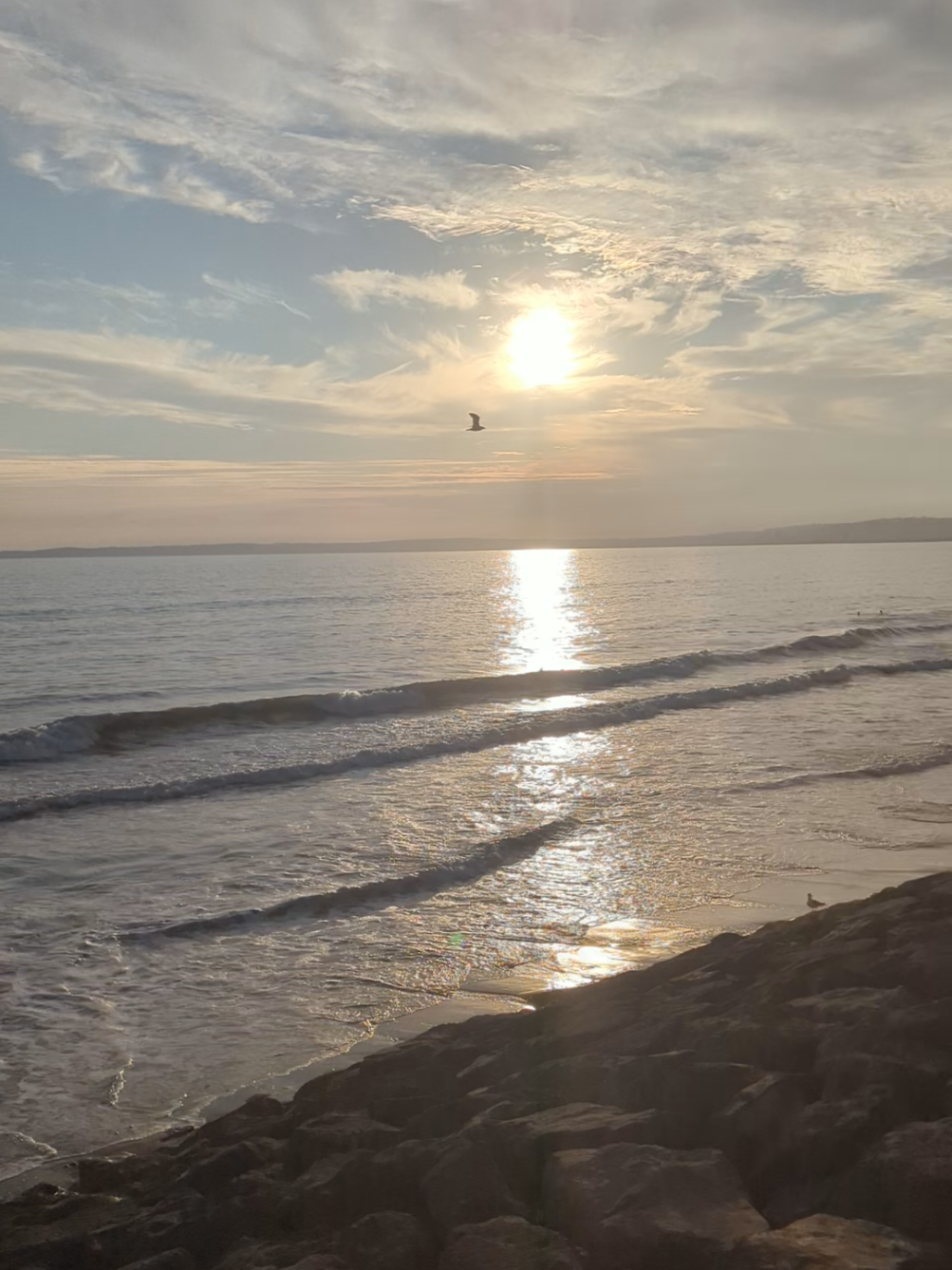 @Chantele - South Wales
