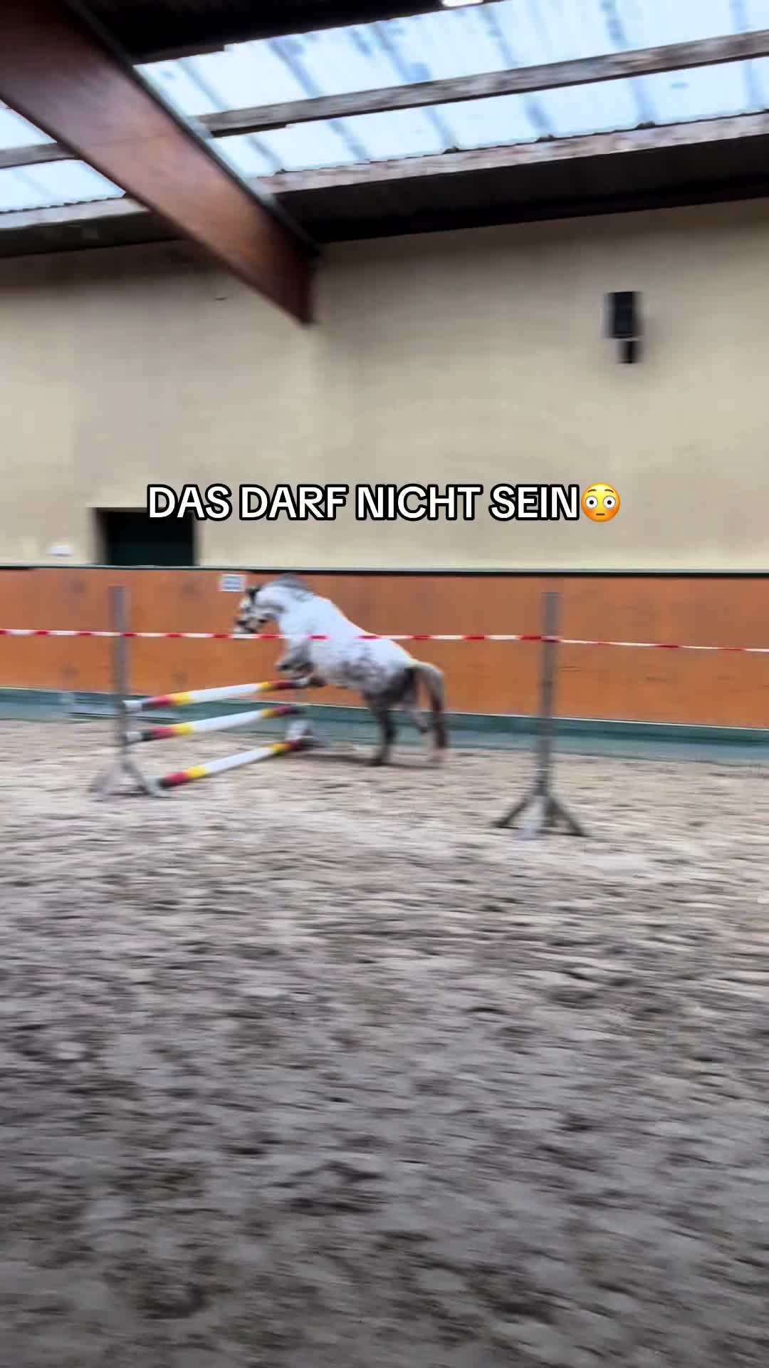 @Shanea & ihre Ponys &hearts;️🐴