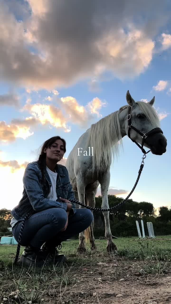 @Hannah ostéopathie animale 🐎